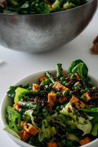 black quinoa salad-12
